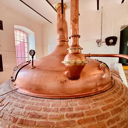 Mini-hôtel Cernokostelecky Pivovar Kostelec nad Černými Lesy